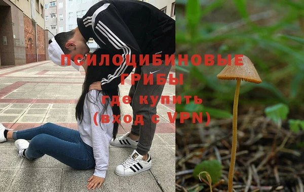 apvp Алексеевка