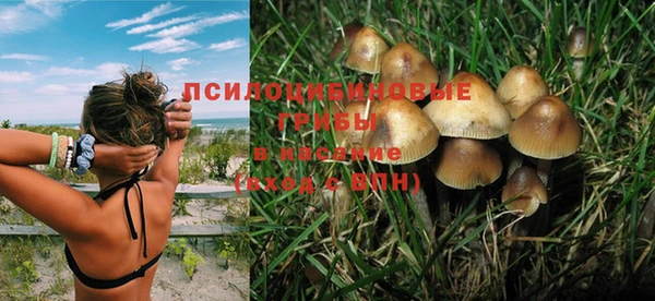 apvp Алексеевка