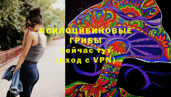 прущий лед Алексин