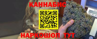 Альфа ПВП Моздок