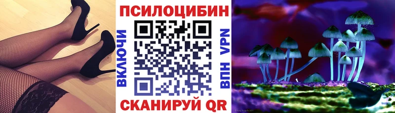 Псилоцибиновые грибы Psilocybine cubensis  Глазов 
