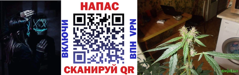 Канабис MAZAR  сколько стоит  Глазов 